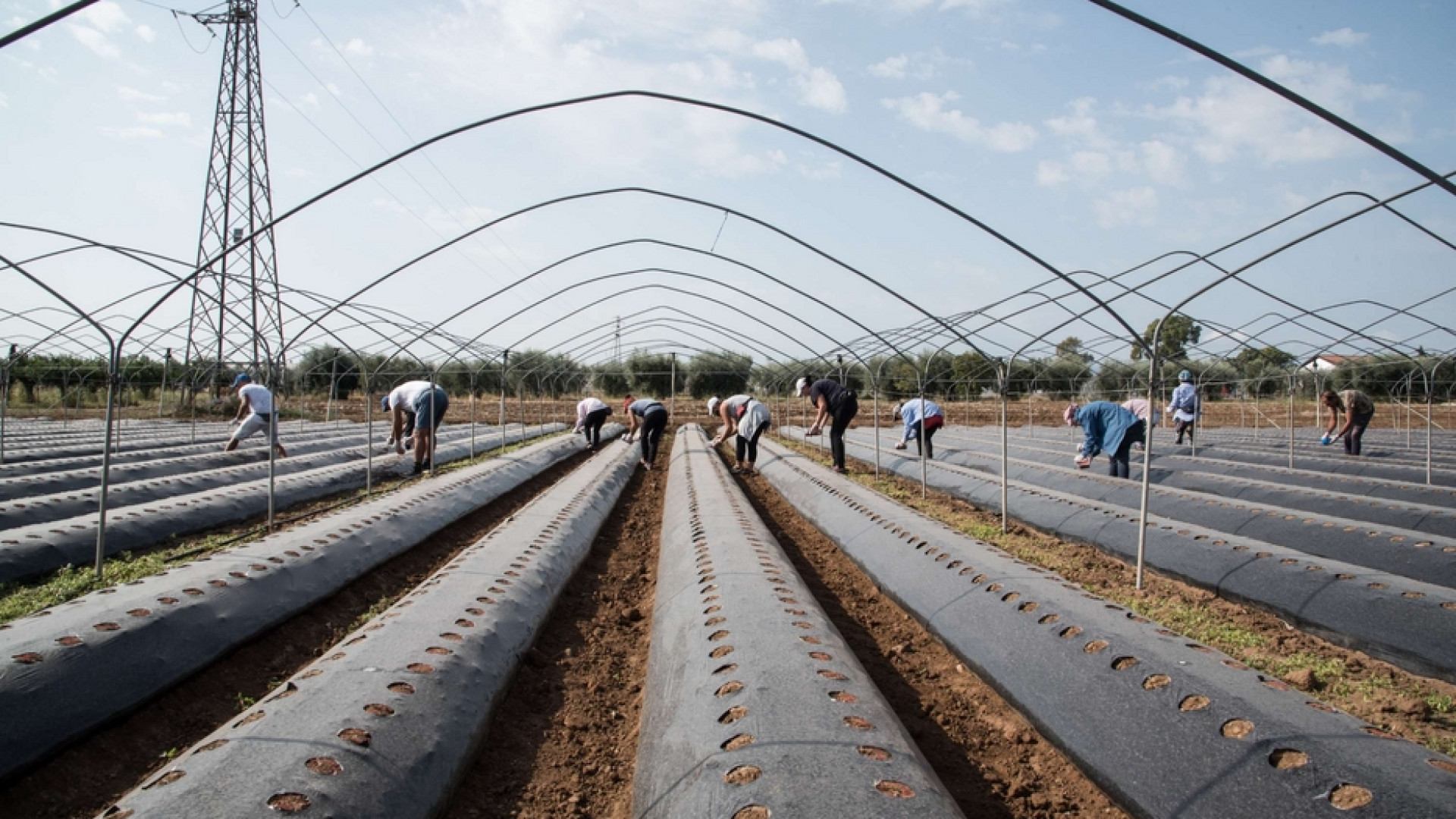 Tra discriminazioni e molestie, l'inferno delle donne braccianti