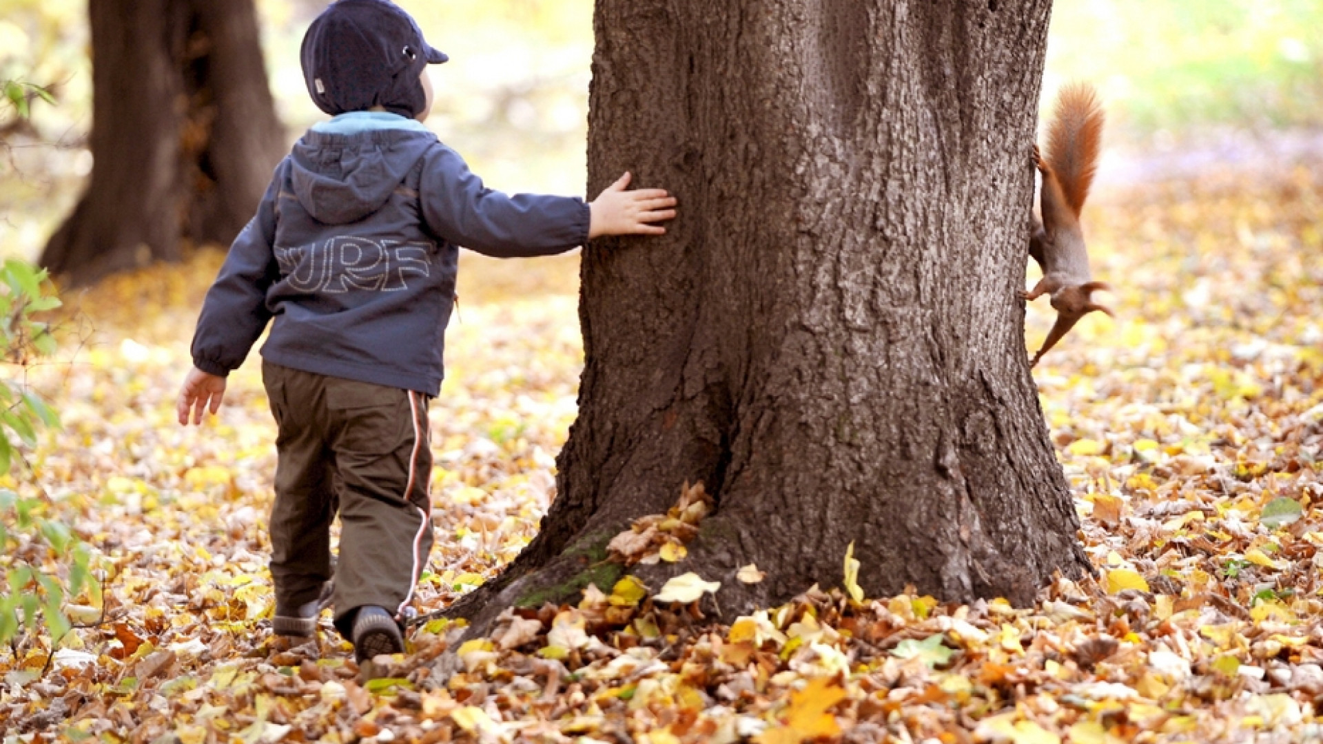 23mila minori in comunità: i numeri (e le ombre) dell'accoglienza
