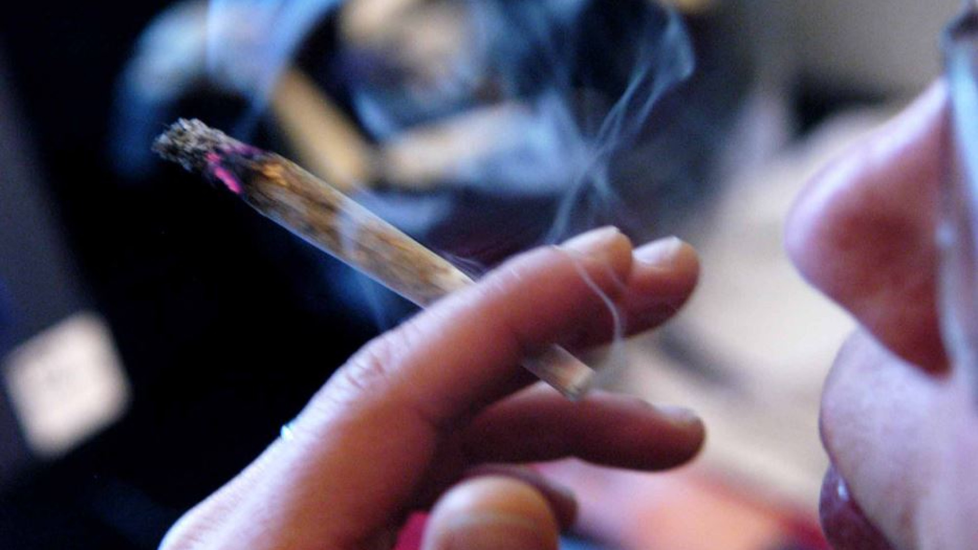 Giovani e cannabis, in gioco la fertilità